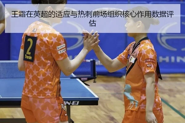 wang-shuang-zai-ying-chao-de-shi-ying-yu-re-ci-qian-chang-zu-zhi-he-xin-zuo-yong-shu-ju-ping-gu-2-165.jpg