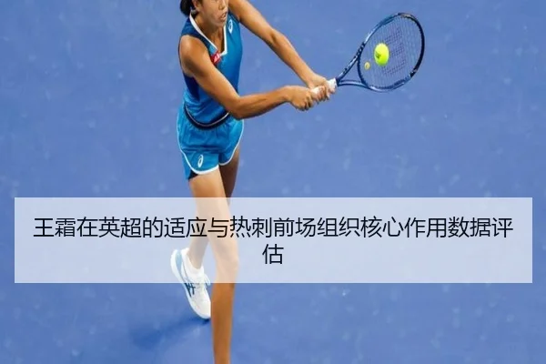 wang-shuang-zai-ying-chao-de-shi-ying-yu-re-ci-qian-chang-zu-zhi-he-xin-zuo-yong-shu-ju-ping-gu-3-658.jpg
