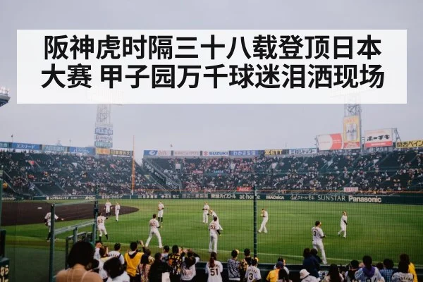 阪神虎时隔三十八载登顶日本大赛 甲子园万千球迷泪洒现场