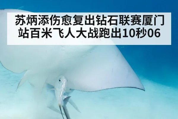 苏炳添伤愈复出钻石联赛厦门站百米飞人大战跑出10秒06